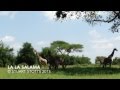 La La Salama: An African Lullaby