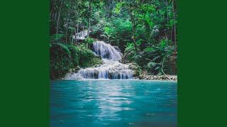 Cachoeira Do Corao