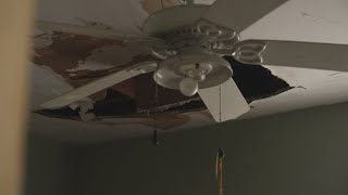 Florida woman’s home damaged by fallen tree; insurance disputes mold claim