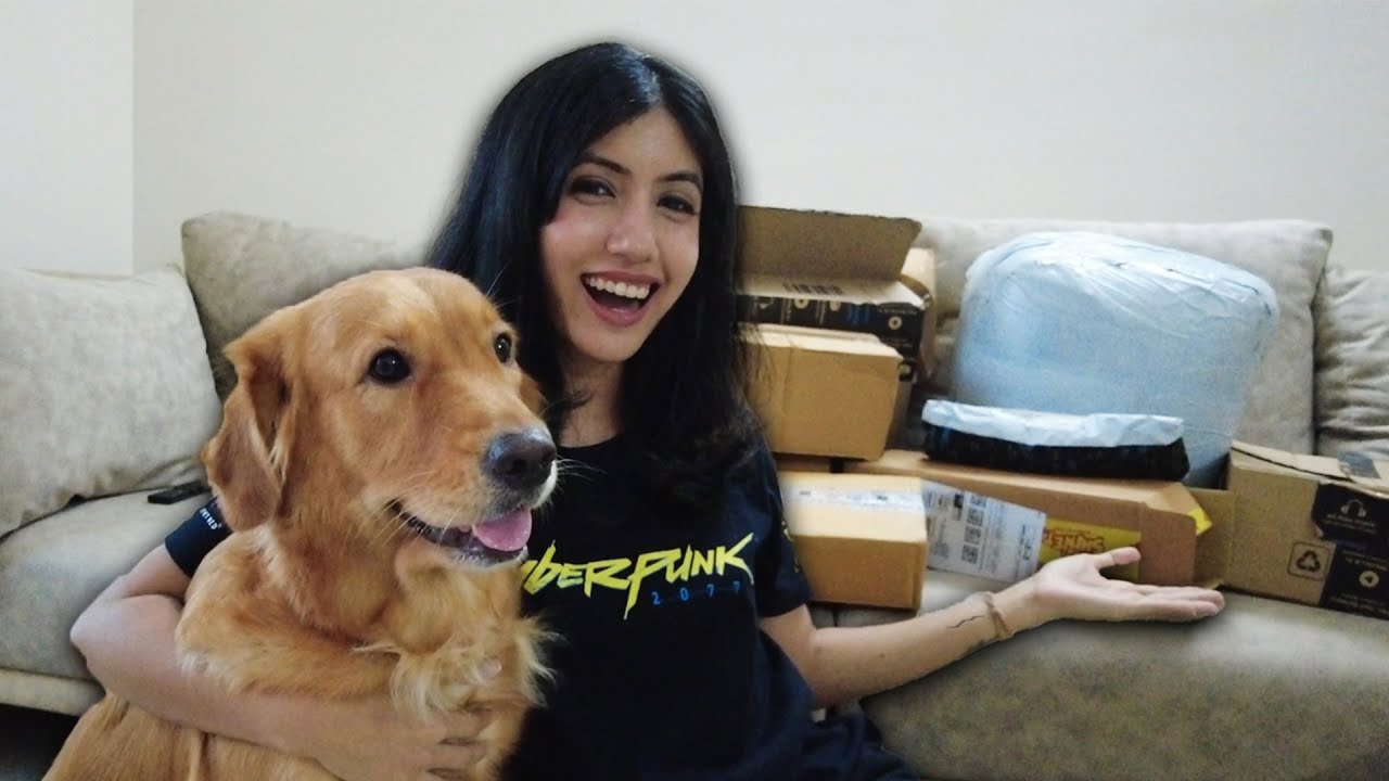 I Gave My Stream Rs.10000 To Spend On Dog Toys