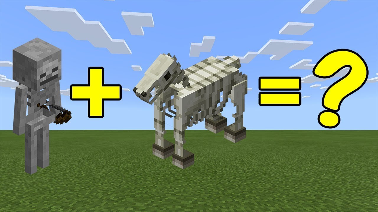 I Combined A Skeleton And A Skeleton Horse In Minecraft Here S What Happened Youtube