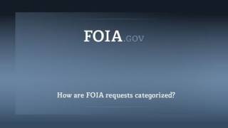 How are FOIA requests categorized?