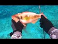 泳いでた魚に粉をかけて油に入れる料理