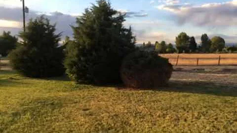 Country Living Minutes From Downtown!!