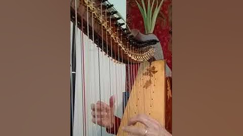 Laurie Riley: Double Strung Harp -  how to play overlapping chords