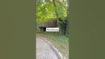 WWII BUNKER! 😱 A lot of those remain in this area! #bunker #WWII #WW2 #abandoned