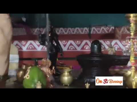 Goddess Parvati Amman Puja