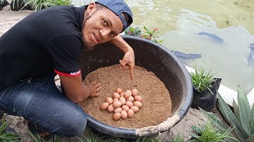 GEEN PELLETMACHINE? FORMULE 5 VISVOER: HOE VOER PRODUCEREN ZONDER PELLETMACHINE