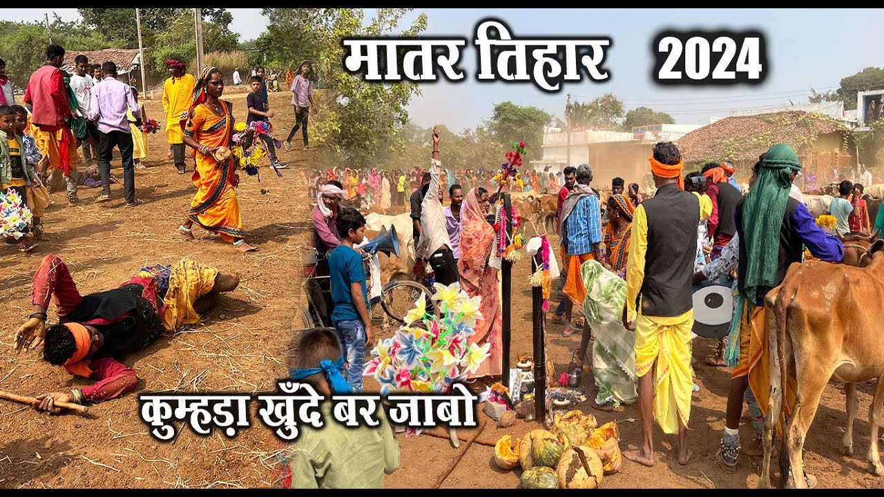 मातर तिहार 2024 | कुम्हड़ा खुँदे बर जाबो | Matar Tihar 2024 | Nawagaon Rajnandgaon | Santu Dhurwe