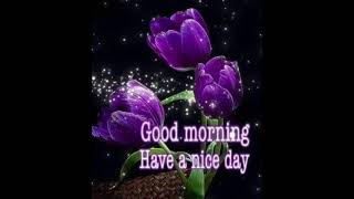 🌹🌹 Good morning flower video 🌹🌹 screenshot 5