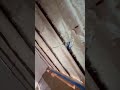 Applied Closed Cell Foam Insulation | Agile Construction