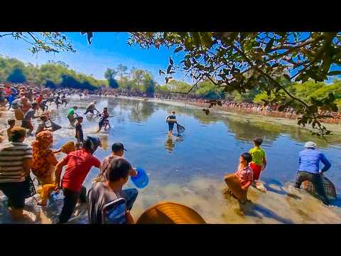 Cambodia Traditional Net Fishing In Pond At The Countryside (Part 12) #fishing #uniquefishing #fish