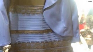 Dr. Drew explains #TheDress color controversy