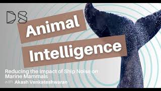 Reducing the Impact of Ship Noise on Marine Mammals