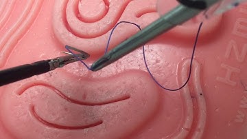 Needle Handling by @MIGS_TIPS