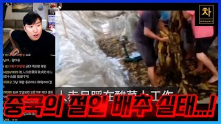 파도파도 계속 나오는 중국의 위험 음식들... 지금은 해결됐을까요?