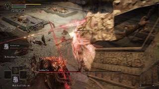 Yes I play ELDEN RING screenshot 1