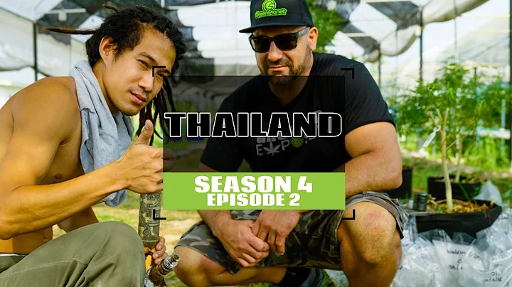 S4 EP2 Thailand Becomes The First Country in Asia to Legalize Cannabis, But... That Could Change! - DayDayNews