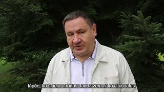 Saules Prospekta Pārbūve Ogrē 22.07.2023