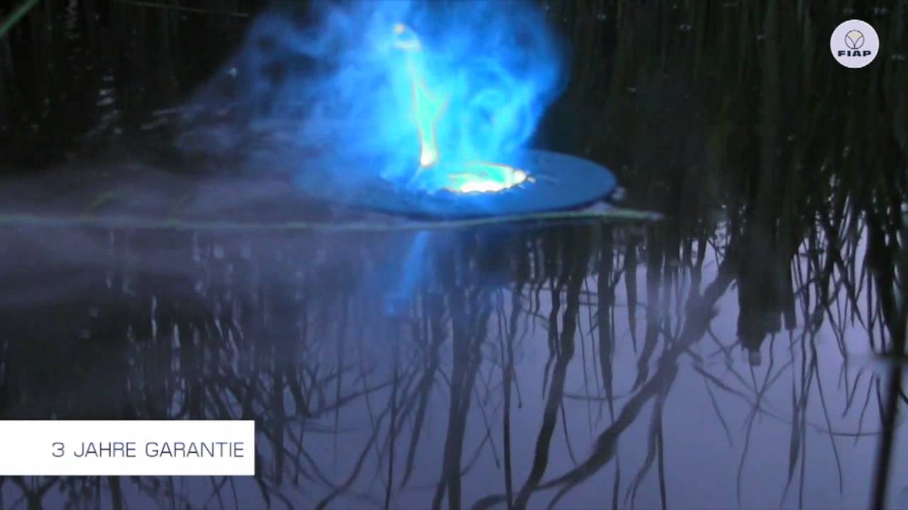 FIAP Mystic Active Teichnebler