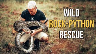 Wild Rock-Python Rescue Net Worth