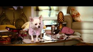 Beverly Hills Chihuahua Beverly Hills Chihuahua