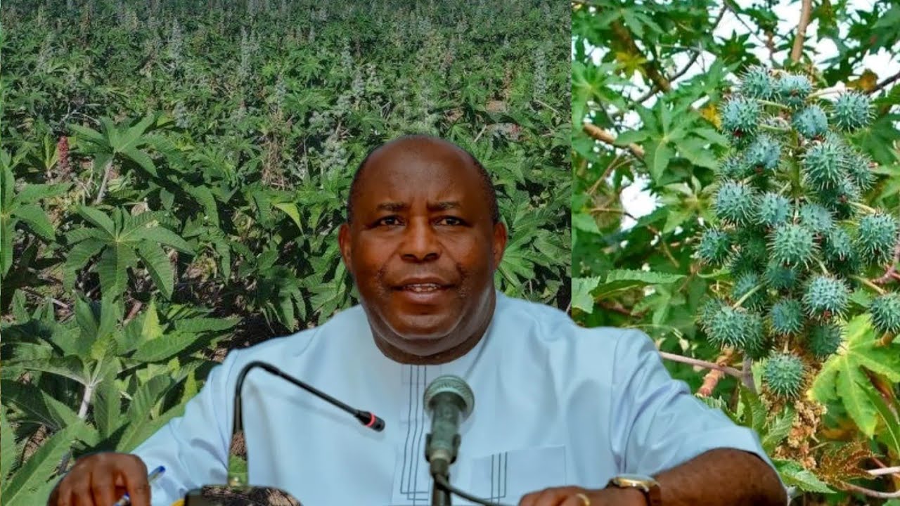 UMUKURU W'IGIHUGU NIYUMVA IYI NKURU ARAHIMBARWA n'UBWENGE bw'Uyu MUJEUNE MUKUGWIZA UBUTUNZI