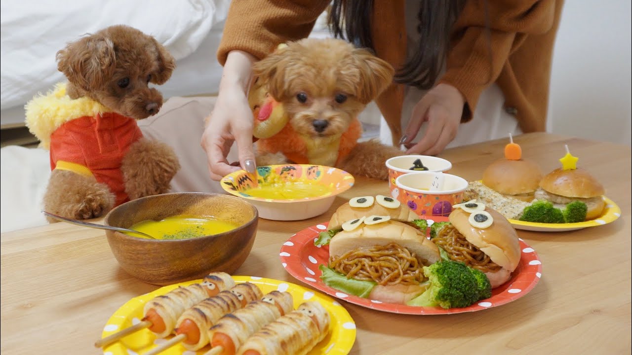 愛犬達と過ごす20代独身女のハロウィンナイト👻