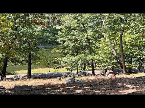 200 Club Drive, Washington, WV home video tour