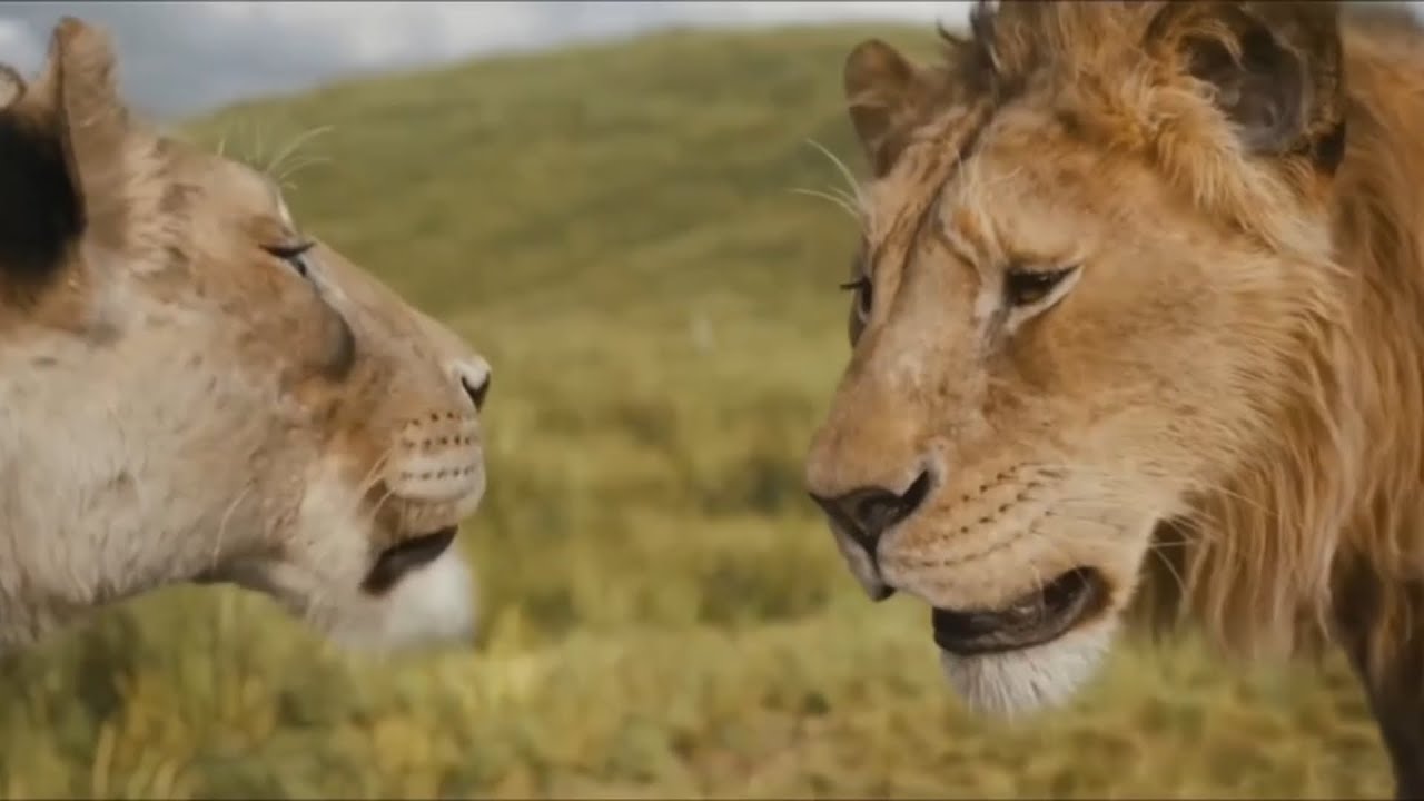 Муфаса спасает Эши | Муфаса: Король Лев Отрывок