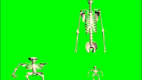 hearts of iron 4 declare war sound man screaming skeleton walking motorcycle accident keyboard smash