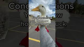 How To Pick Up A Duck Original Video