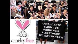 ТЕСТИРОВАНИЕ НА ЖИВОТНЫХ, ЗАЙЧИК НА ПРОДУКЦИИ, ЧТО ЗНАЧИТ?, в ХП МИР НЕ БУМАЖНЫЙ . ТЕСТИРОВАНИЕ НА ЖИВОТНЫХ, ЗАЙЧИК НА ПРОДУКЦИИ, ЧТО ЗНАЧИТ?, в ХП МИР НЕ БУМАЖНЫЙ .