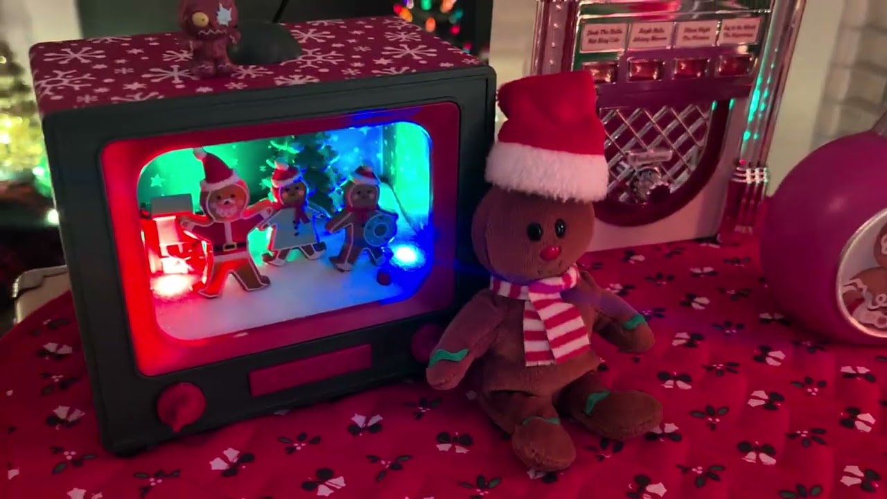 Christmas Display 2025 - Night Lights 