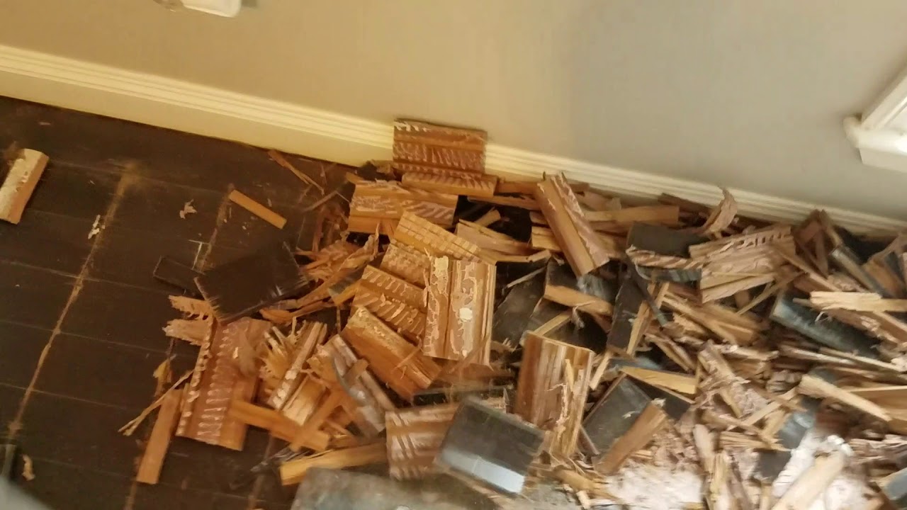 Propane power wood flooring rip up machine - YouTube