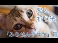 【猫おもしろ動画】シンガプーラと折り紙 ふうせんウサギ篇〜Cat and Origami〜