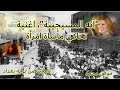 انه المسيجينة اغنية تحاكي ماساة امراة