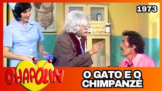 Doutor Chapatin O Gato E O Chimpanzé 1973 Episódio Completo