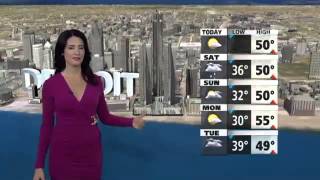 Detroit's Weather Forecast For October 26, 2013