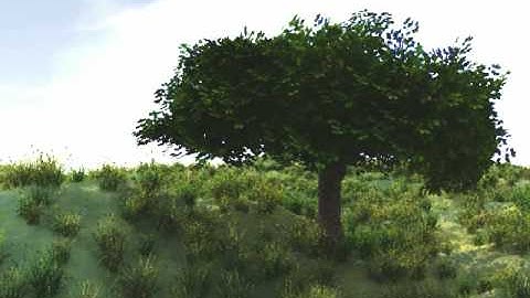 Vue 7 Terrible Animation.