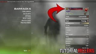 Celebrity How to Get A Custom Text Title On IW4X Profile