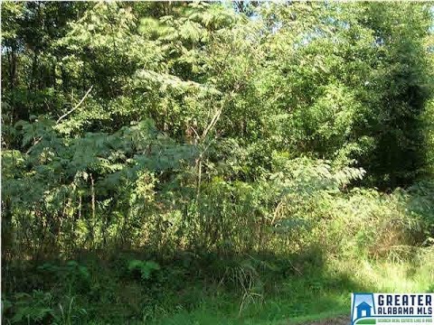 228 GOBER DR, Birmingham, AL home video tour