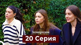 :  20 C ( )
