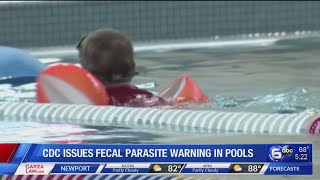Famous CDC warns of ‘crypto’ fecal parasite that can live for days in swimming pools Wealth
