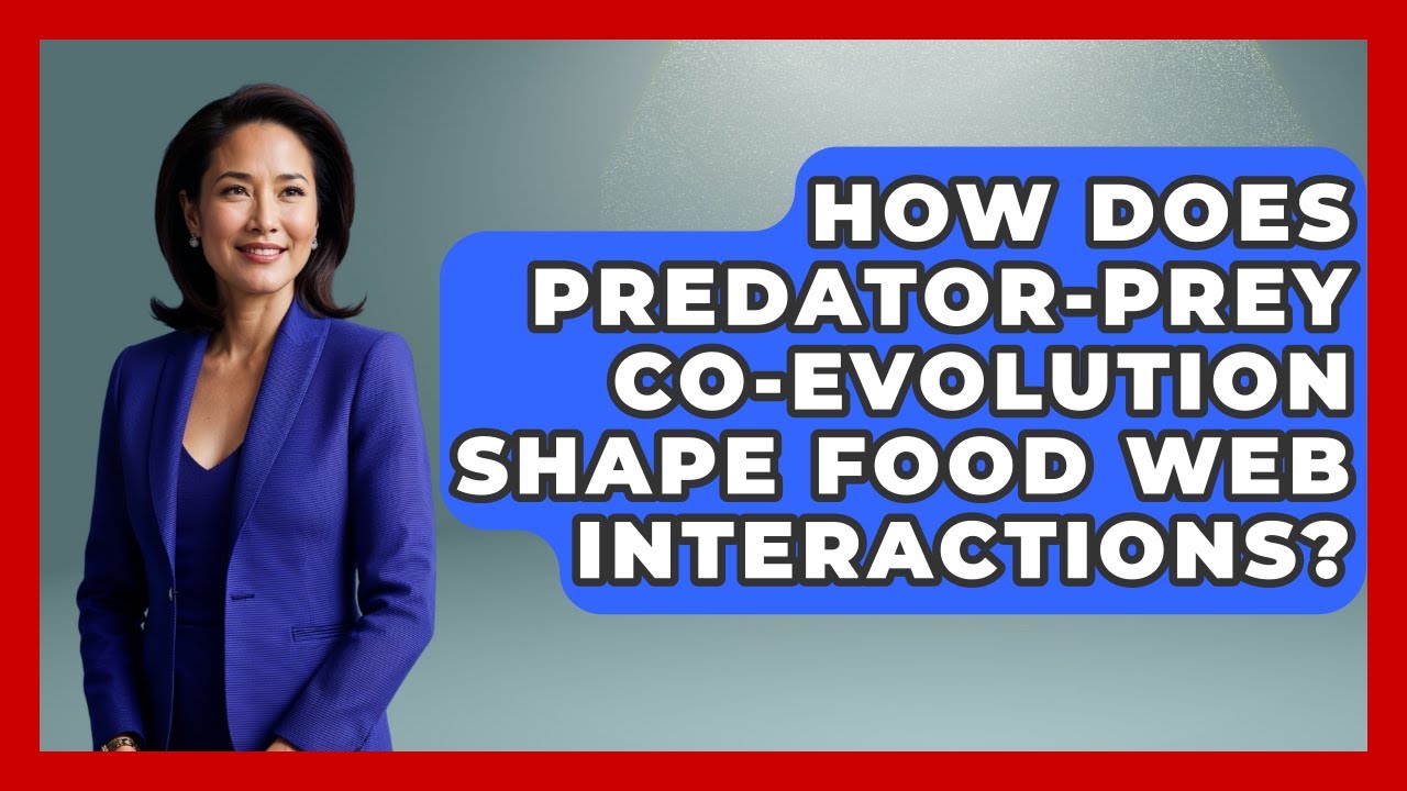How Does Predator-prey Co-evolution Shape Food Web Interactions? - Explaining Ecology