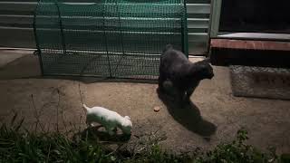 IMG 1876