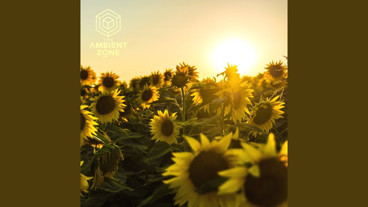 YouTube에서 Stillness 보기 YouTube에서 Stillness 보기