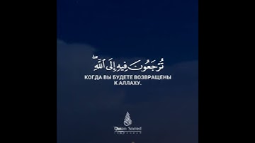 حالات واتس قران كريم / ( واتقوا يوما ترجعون فيه الى الله ) القارئ طارق محمد