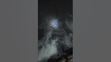 Snakes River 🐍 // First Vlog