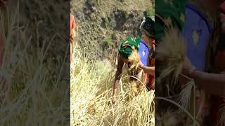 Nepal mountains rural life #nepalireels #nomadicfamily #ruralarea #lifestyle